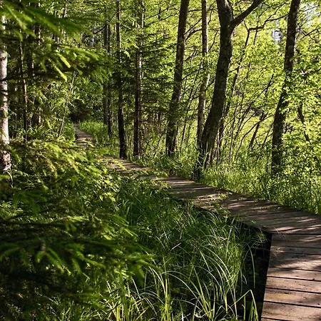 Kolme Maenni Kuubik Otepää
