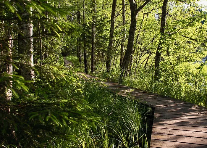 Kolme Maenni Kuubik Otepää
